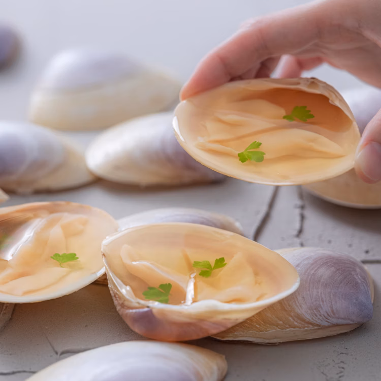 泉薈館 QUAN_雞湯凍海蚌